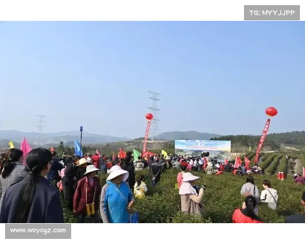 越南体育与文化赛事2023年度精彩盛况回顾及未来展望前瞻